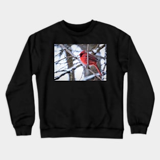 Bright Red Cardinal in the Winter Crewneck Sweatshirt